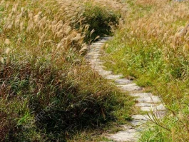 UiPath's Breakthrough: Why Its Stock Surge is a Landmark Moment for AI